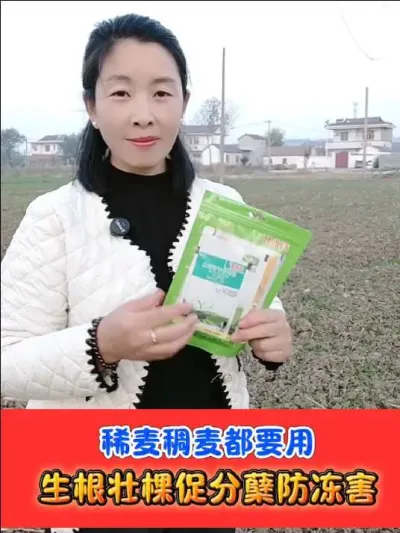 小麦稀苗稠苗都能用，双向调控增产抗倒 #小麦种植 #小麦管理 #小麦 #农资肥料 #小麦抗倒伏