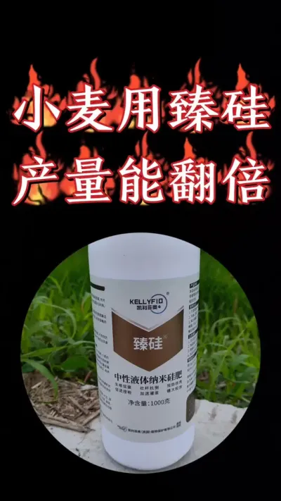 臻硅是个宝，小麦增产少不了，认准纳米中性臻硅，厂价直销，实惠到家#农资肥料 #三农种植 #小麦 #小麦种植 #硅肥