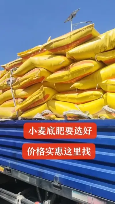 小麦底肥又到货啦 正品保障，薄利多销，实惠到家#肥料 #小麦底肥 #小麦种植 #农资肥料 #吴平农资