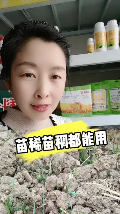 稀苗稠苗都要用，生根促蘖抗倒伏 #小麦种植 #小麦管理 #小麦种植管理技术 #农资肥料 #农业种植
