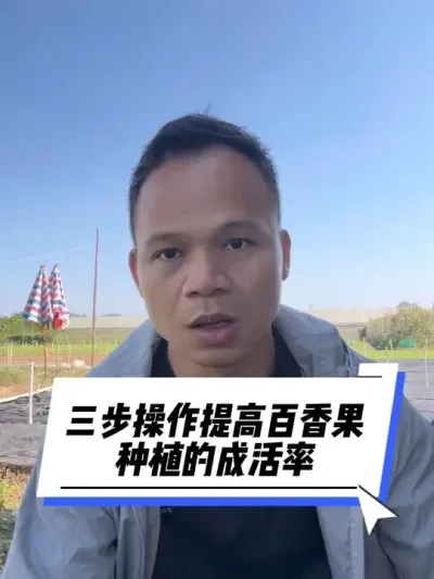 三步操作提高百香果种植的成活率#百香果种植 #百香果种苗 #百香果种植技术 #种百香果教程 #种百香果苗