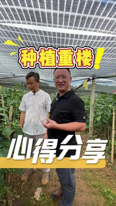 想要入手栽重楼，来听听这几个关键点。#重楼种植#农业技术推广#农业种植#三农