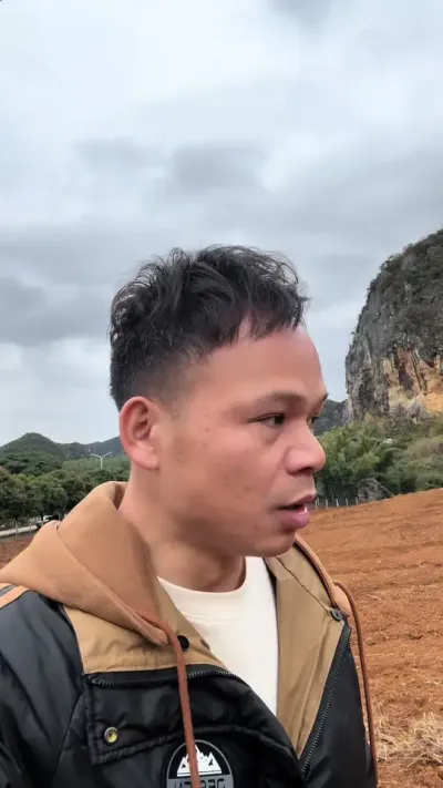 武鸣给种植户规划种植模式，杨梅套种百香果！#果业种植 #种百香果 #服务三农支持三农 #抖音助农 #钦蜜9号百香果