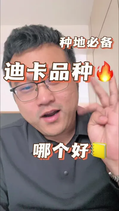 迪卡品种到底哪个好？ 种植注意事项：第一，注意提苗抢积温。第二，注意防蚜虫玉米螟虫。第三，注意防穗腐病。第四，加密种植注意矮化。第五，及时收获。