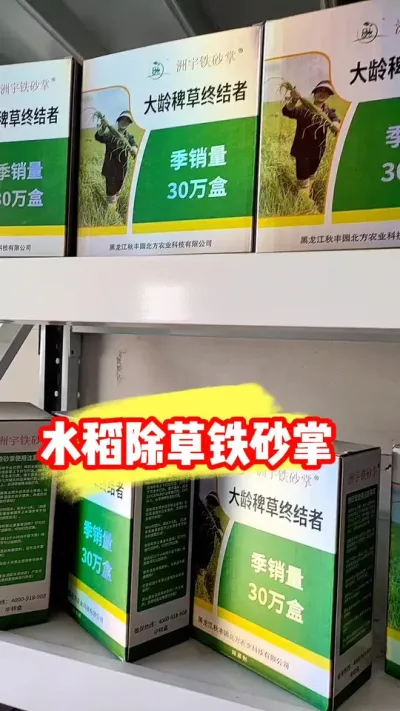 水稻除草还是铁砂掌👍 #铁砂掌除草剂 #水稻除草 #水稻种植 #水稻 #农资肥料