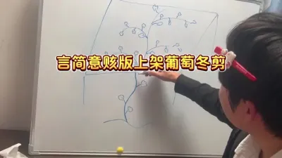 庭院上架葡萄的冬剪，纯操作版#庭院葡萄 #葡萄冬剪 #干货分享 #盆栽葡萄 #内容启发搜索