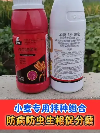 小麦专用拌种剂组合 防小麦枯白死穗一定要拌种#小麦 #小麦种植 #小麦拌种剂 #农资肥料