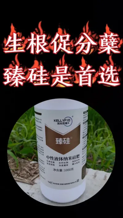 凯利菲奥进口《臻硅》，纳米中性液体硅，生根壮苗促分蘖抗倒伏，抗寒抗旱，一瓶20亩，厂价直销#小麦 #三农种植 #农资肥料 #小麦种植 #硅肥