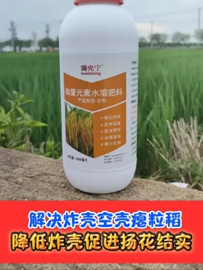 水稻炸壳空壳瘪粒鹰嘴谷旱青立病 满壳宁一瓶十亩地，在拔节孕穗期，破口期，灌浆期喷施，解决水稻炸壳稻#水稻种植 #水稻 #农资肥料 #旱青立病 #农业种植