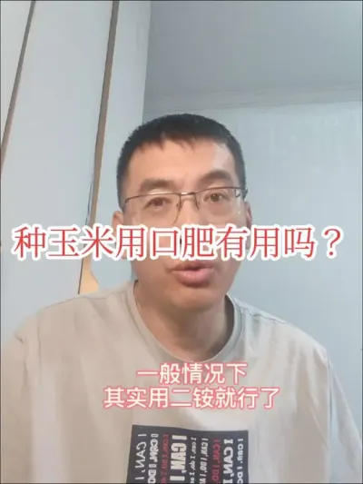 #口肥 #来抖音学农技 #播种玉米🌽 种玉米口肥有用吗，用什么做口肥。