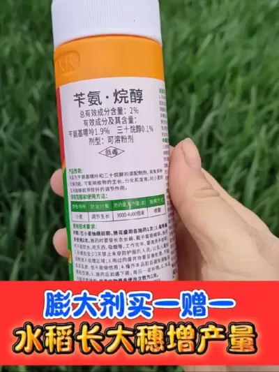 水稻玉米增产膨大剂买一赠一 正品粮大侠膨大剂，买小黄瓶赠小黑瓶#水稻种植 #玉米增产 #水稻 #农资肥料 #农业种植