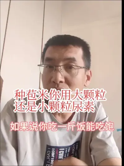 #尿素 #来抖音学农技 #迪卡玉米 种苞米用尿素，我们是用大颗粒的还是小颗粒的，你怎么选择