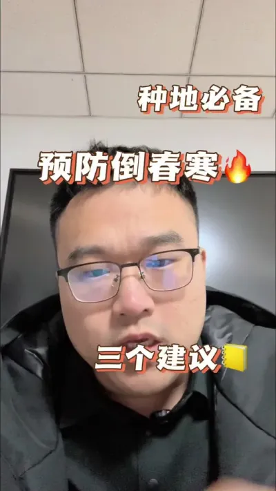 种玉米的种植户注意今年防范倒春寒的风险 预防倒春寒的三个建议#倒春寒 #科学种田 #上抖音学农技 #抖加热门 #抖加小助手