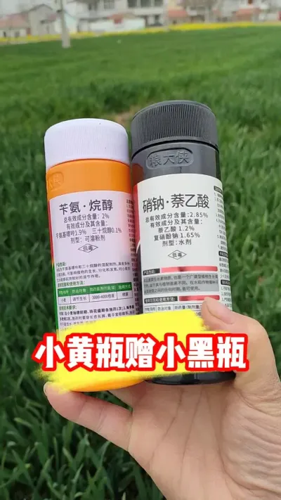 小黄瓶赠小黑瓶赶紧抢 #小麦种植 #小麦膨大剂 #苄氨烷醇 #农业种植 #农资肥料