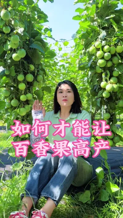 百香果高产方案来了！#乡村守护人 #支持三农扶持三农发展 #新农人计划2024 #抖音助农 #百香果 @抖音小助手 @DOU+小助手