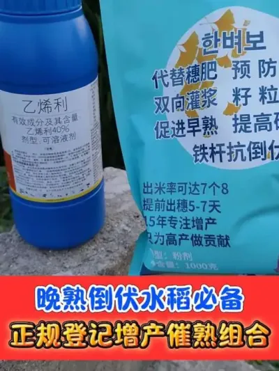 晚熟倒伏水稻必备组合 一套十亩地，喷施飞防都可以，促进早熟加速灌浆#水稻种植 #水稻倒伏 #水稻 #农资肥料 #农资店