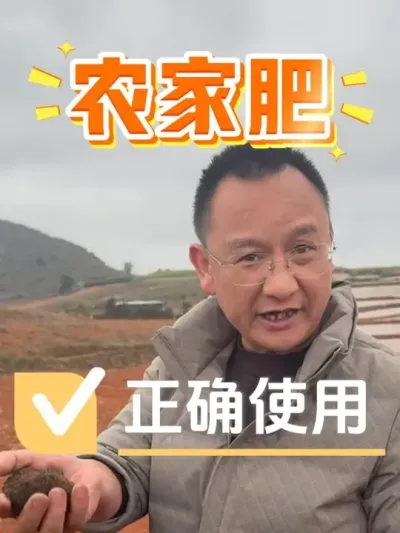 农家肥没有发酵腐熟，不如直接不用！#农业 #种植技术 #农家肥 #农资肥料 #种植小技巧