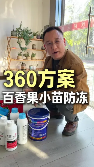 360方案，百香果小苗防冻。#农业技术推广 #种植小技巧 #三农 #百香果  #三农服务