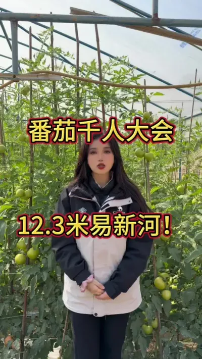 #农业种植 错过等一年！米易番茄千人观摩大会，针对膨果难、转色慢等温度进行现场深度剖析！期待您的参与！#四川国光 #番茄种植