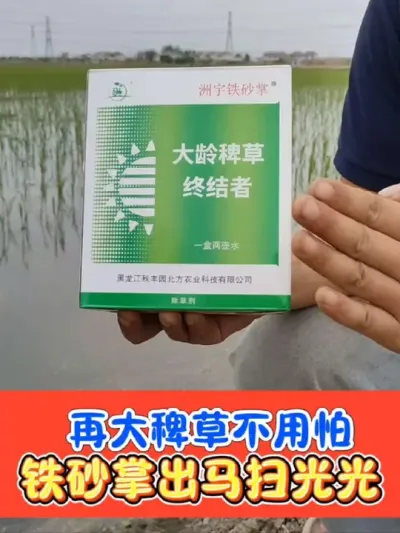 难打稗草海绵稗马唐牛筋草就用铁砂掌 水稻三叶一心后使用，一盒2至3亩地#铁砂掌除草剂 #水稻种植 #水稻 #除草剂 #农资肥料