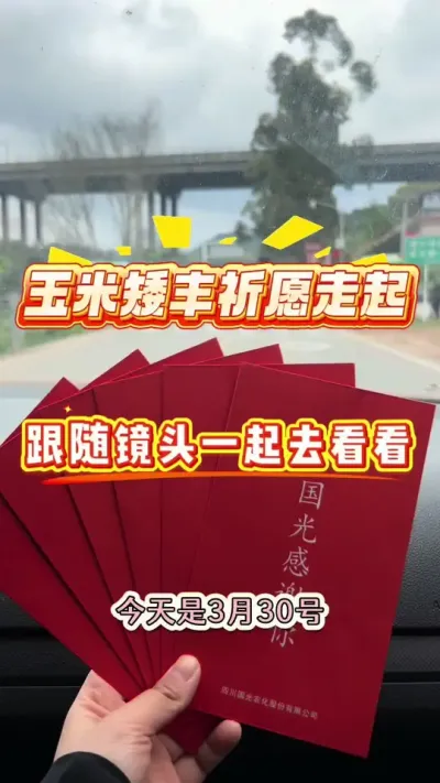 给玉米矮丰祈福啦～#服务三农支持三农 #农资人