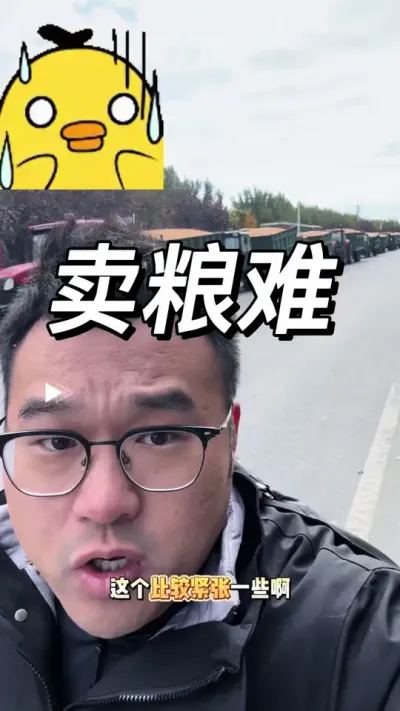 集中上粮，老百姓卖点粮也太难了#卖粮难 #每天跟我涨知识