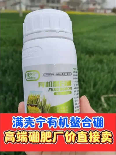 有机螯合硼提高小麦油菜结籽率 《满壳宁》有机螯合硼，正品保障，一瓶十亩地，厂价直销