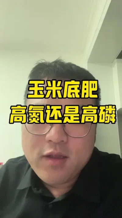 玉米底肥怎么用？ 到底是高氮好还是高磷好？#玉米种植技术 #科学施肥#玉米底肥