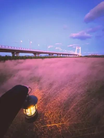 那就祝我们走散的秋天 都是为了盛春铺垫