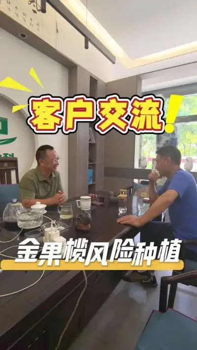 客户到店交流栽种金果榄的心得和种植中药材的收益和风险。#金果榄#农业种植#农业种植技术#中药材种植