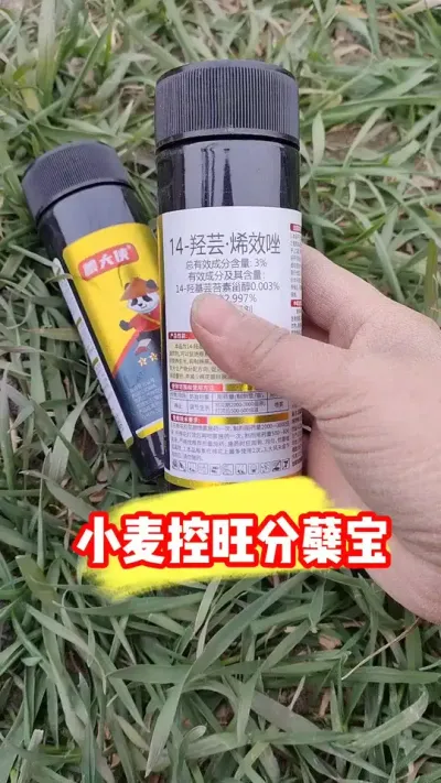 小麦控旺分蘖宝一瓶十亩地 #小麦种植 #小麦种植管理技术 #小麦 #农资肥料 #吴平农资