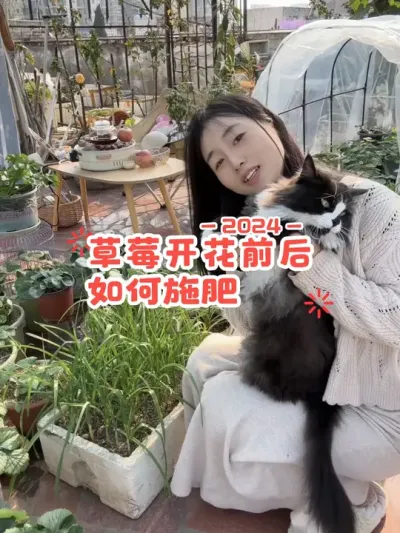 想种好草莓不难的🍓关于如何施肥和浇水时的注意事项都在这里了哦！#盆栽草莓 #dou来一起种草莓 #干货分享 #阳台种植 #种植小技巧