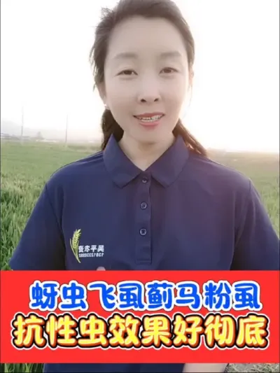 难打蚜虫黄蚜桃蚜棉蚜粉虱就用《卓飞》 卓飞出马，难打蚜虫全搞定#蚜虫 #蚜虫防治 #蚜虫防治特效配方 #农资肥料 #农业种植