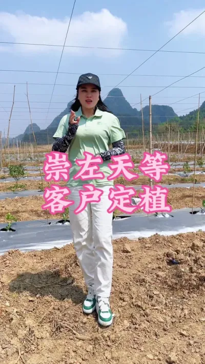 崇左天等县城客户基地教客户定植！#乡村守护人 #服务三农支持三农 #抖音助农 #新农人计划 #百香果