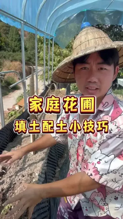 家庭花圃这样填土不容易办结，富含有机质，植物瓜果长得快～#种植小技巧#楼顶果园  #花圃 #三农 #我的农村生活
