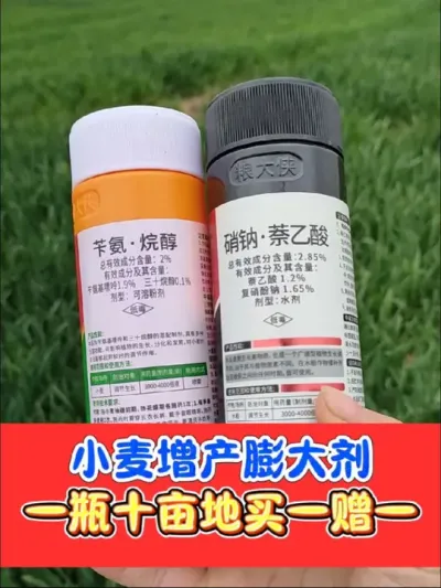 小麦增产膨大剂认准正品粮大侠 厂价直销小麦正品增产膨大剂，买一赠一，划算到家#农资肥料 #农资 #抖音助农 #小麦种植 #小麦高产技术