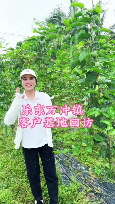 乐东万冲镇客户基地回访，全程用施康禾一号套装现在满园的花苞！#乡村守护人 #三农 #抖音助农 #新农人计划 #我的农村生活 @抖音小助手 @DOU+小助手