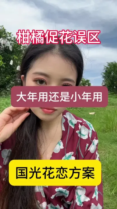 柑橘促花大年用还是小年用？这段时间一定要重视这项工作，不要因小失大，导致明年产量受到影响！#新农人计划 #柑橘促花 #柑橘种植