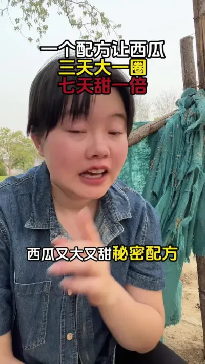 西瓜增甜 #西瓜种植 #西瓜管理#西瓜高产#西瓜增甜#西瓜种植技术