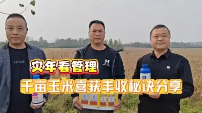 #种植技术 #玉米