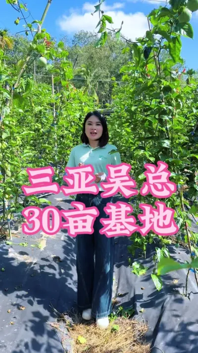 三亚天涯区吴总基地根系问题方案调理！#乡村守护人 #支持三农扶持三农发展 #新农人计划2024 #抖音助农 #百香果@抖音小助手 @DOU+小助手
