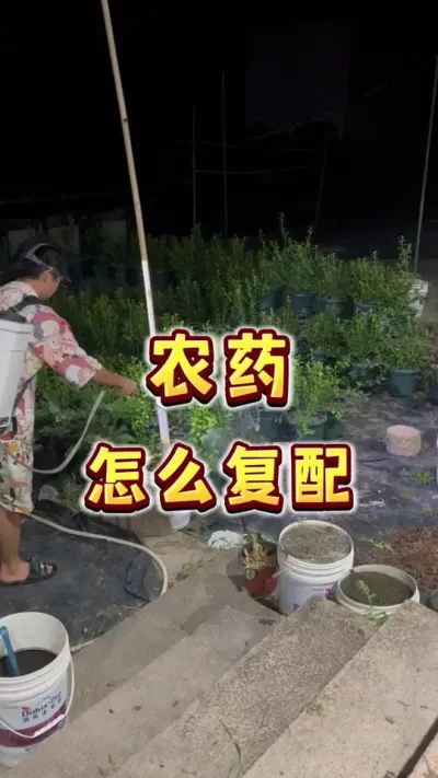 晚上打个药，多种药一起打怎么计算复配？#种植小技巧 #打药#盆栽蓝莓 #楼顶果园 #内容启发搜索