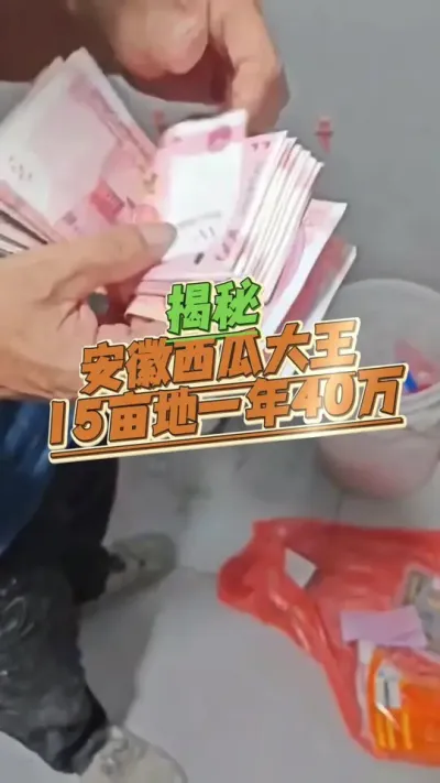 #西瓜种植#生根壮苗 #病虫害防治