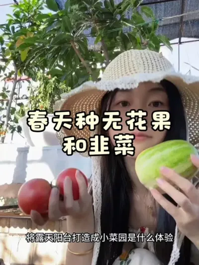 露天阳台变菜园果园啦！一年四季不用买菜的感觉可太爽了！但也好累啊🤣🥬#阳台种菜 #自己种的纯天然的绿色蔬菜 #我的小菜园 #种植小技巧 #关注我一起学种菜