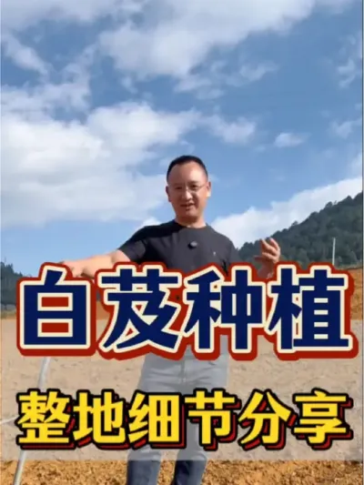 白芨种植 白芨种植，整地细节大分享。该怎样做好准备工作呢？#农业 #三农 #农业种植 #白芨 #白芨种植