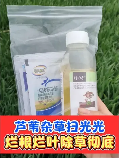 芦苇茅草杂菜扫光光 一套一桶水打匀打透打仔细，死草烂根彻底不反弹#除草 #除草剂 #农资肥料 #农资人 #除芦苇