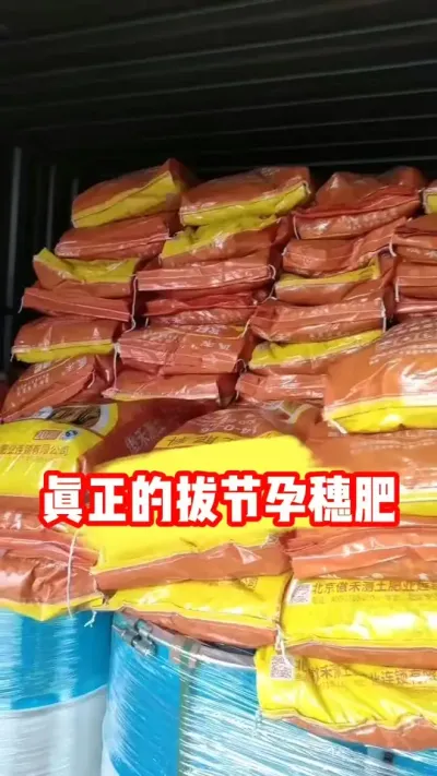 小麦拔节孕穗肥千万不要撒错了 #小麦种植 #小麦种植管理技术 #农资肥料 #农业种植 #吴平农资