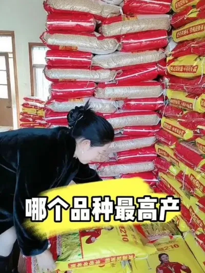 哪个水稻品种最高产，快来看一看#水稻#水稻种子 #高产水稻 #农资肥料 #农业种植