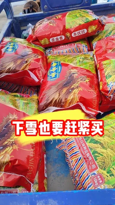 软香米抗病抗倒圣金香抓紧抢 #圣金香 #水稻种植 #水稻品种 #农业种植 #抖音助农