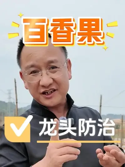 百香果小苗这样管理，拒绝黄化龙头！#种植技术 #农资肥料 #百香果 #农业种植 #种植小技巧
